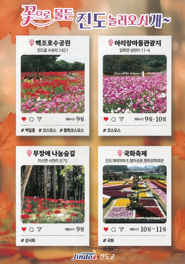 꽃뒷면.jpg
