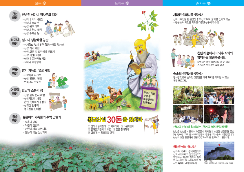 함양산삼축제 리플릿(뒤).jpg