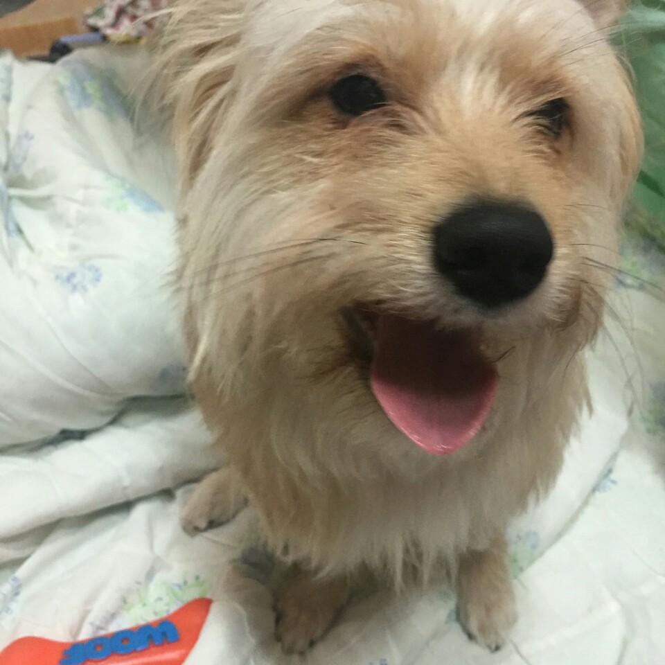KakaoTalk_20160429_231034221.jpg