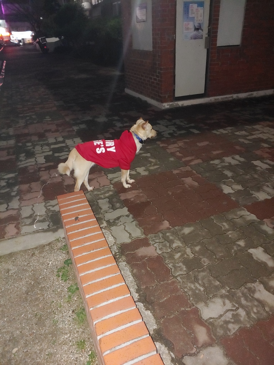 20201119_203834.jpg