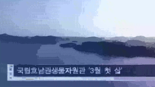 목포시정뉴스 제266회에 대한 동영상 캡쳐 화면