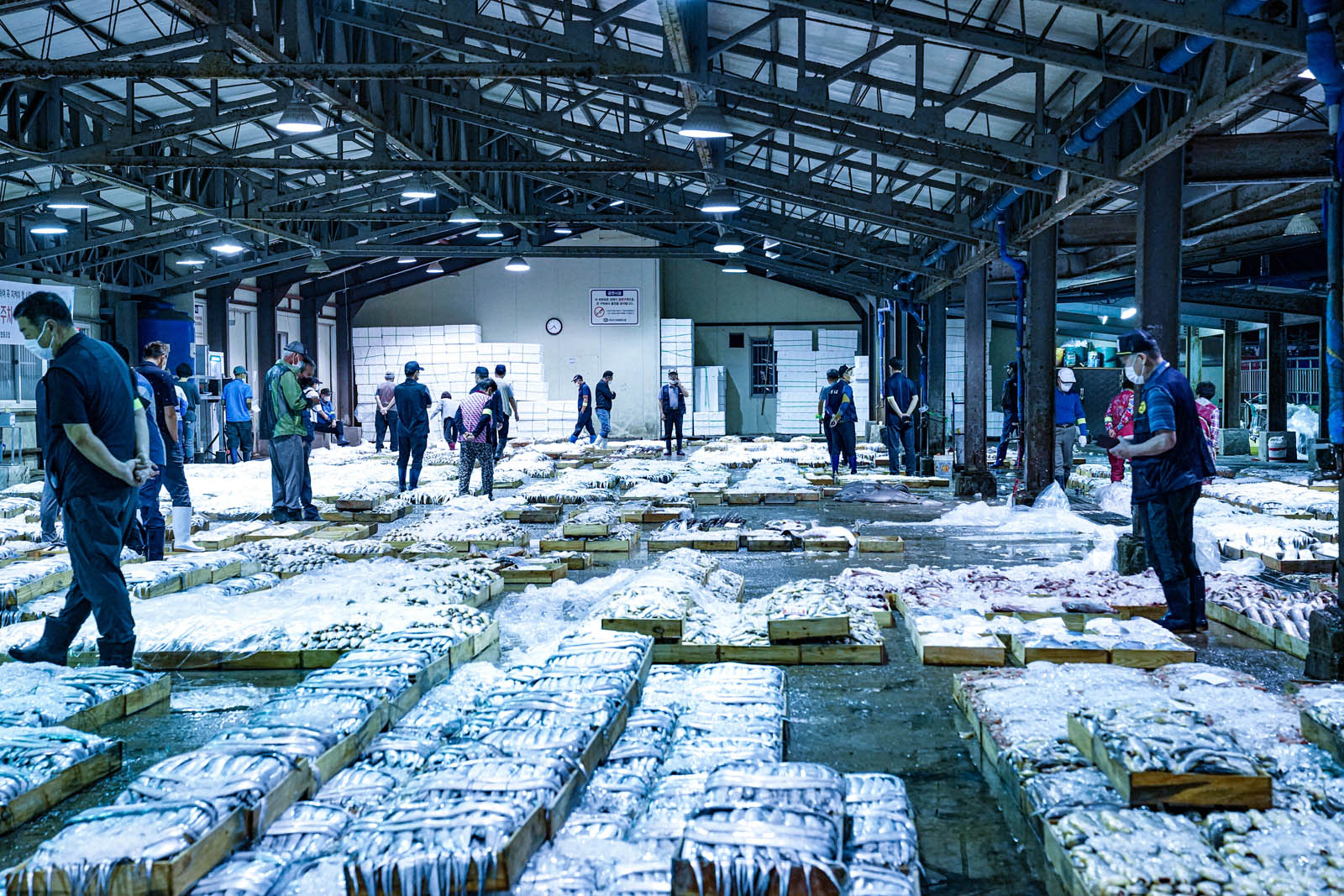 위판장 바닥에 수산물 좌판이 가득 놓여져 있는 사진이다. 그 사이에 여러 사람들이 물건을 바라보며 서 있다.