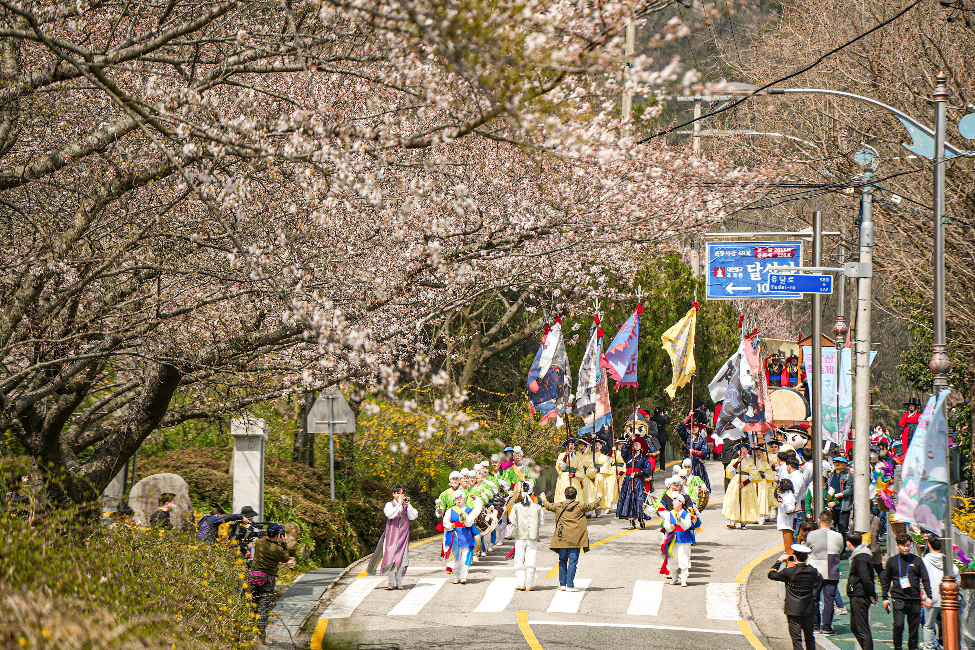 유달산 봄 축제의 거리에서 꽹과리, 북 등 사물놀이를 하며 행진하는 사람들과 깃발을 들고 따라는 10명정도의 사람들 뒤에 작게 사또 분장을 하고 어디에 올라탄 듯한 사람들의 모습이 보인다.