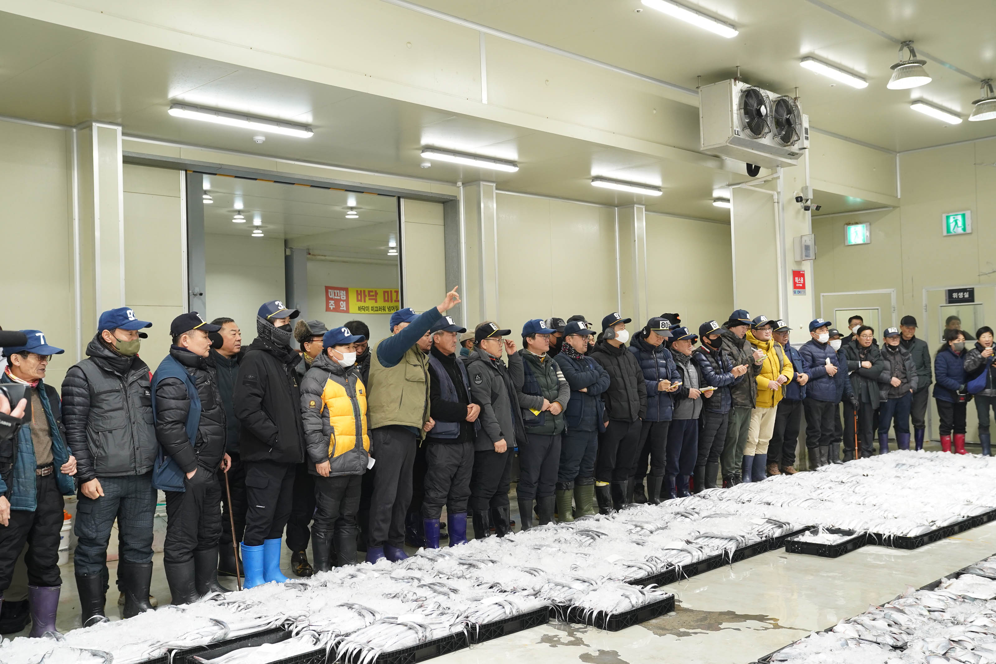 실내 위판장 바닥에 검정 트레이에 담긴 신선한 생선들이 줄지어 진열되어 있고, 맞은편에는 방한복과 장화를 착용한 수십 명의 관계자들이 일렬로 서서 진행 상황을 지켜보고 있다. 중앙에는 손을 들어 지시하는 한 남성이 눈에 띈다.
